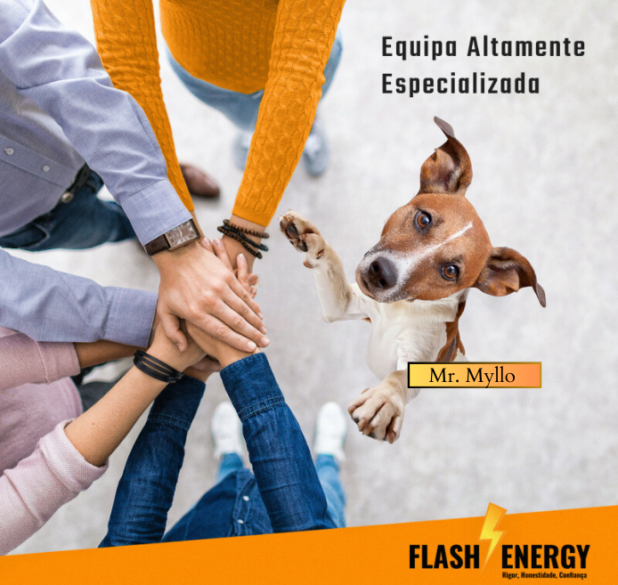 Flash Energy